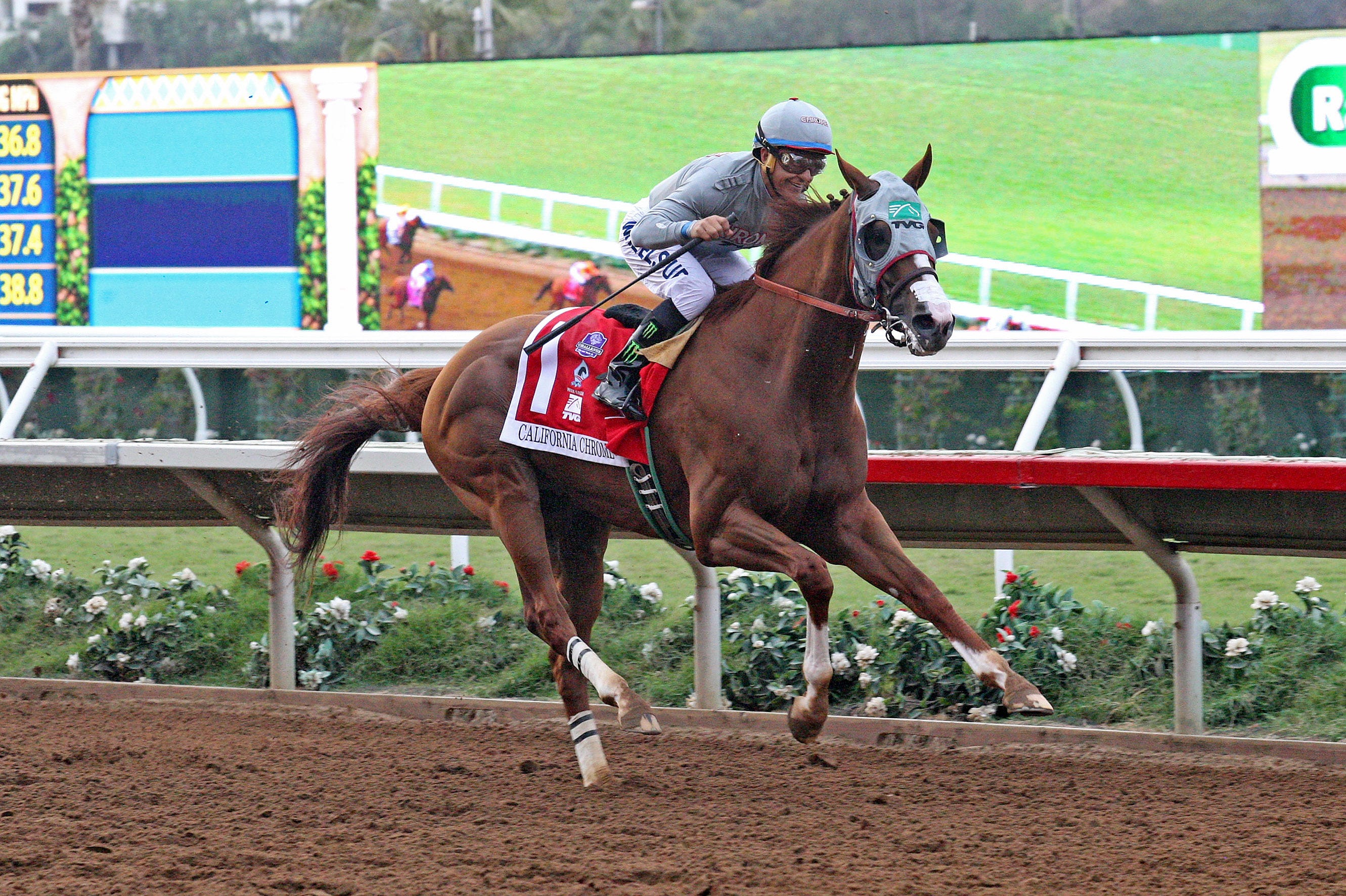 California Chrome ready to put on a show in Awesome Again